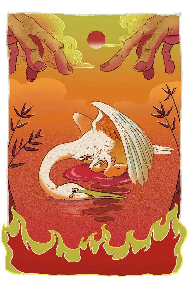 [Illustration+Animation] Saigoneer “Stork-The Symbol of Vietnamese Countryside”